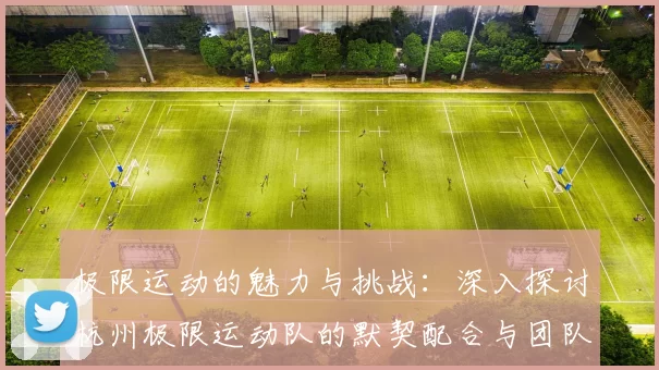 极限运动的魅力与挑战：深入探讨杭州极限运动队的默契配合与团队精神MBA