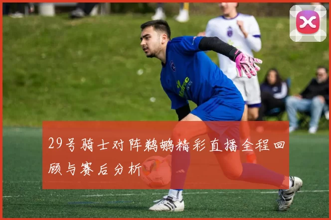 29号骑士对阵鹈鹕精彩直播全程回顾与赛后分析